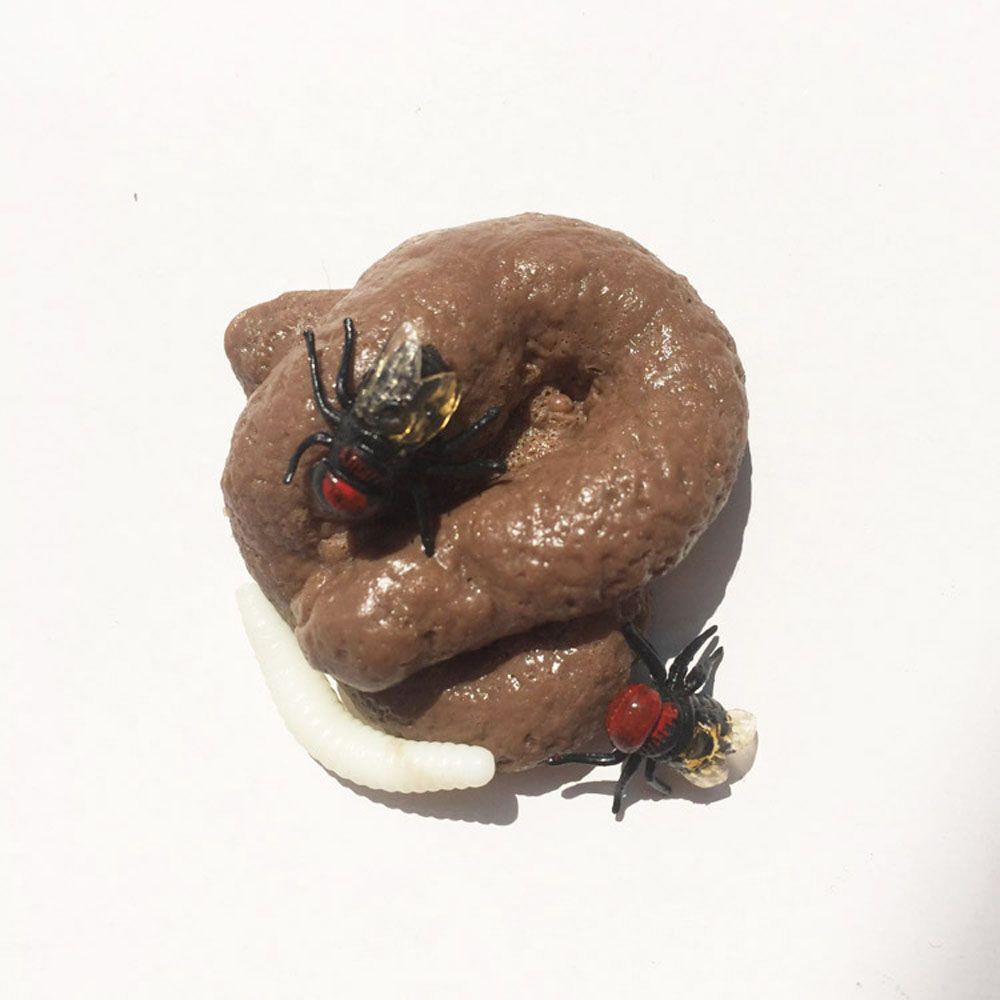 Prank Realistic Fake Shit Toys - Fake Poop Gag Gift 评论和价格