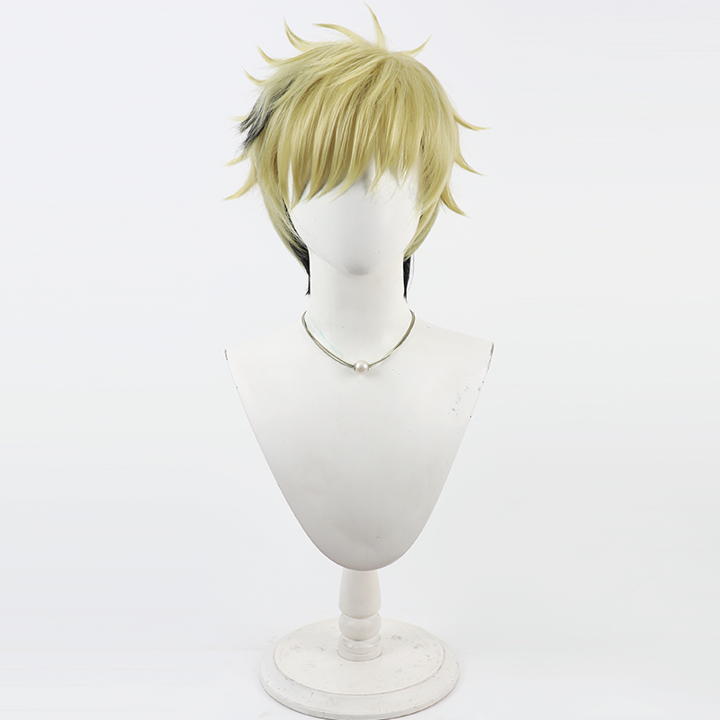 Vantacrow Bringer Cosplay Wig  - Anime Cosplay Wig Heat Resistant 评论和价格